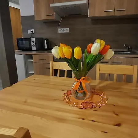 Vejminek Pod Smrkem Apartmán