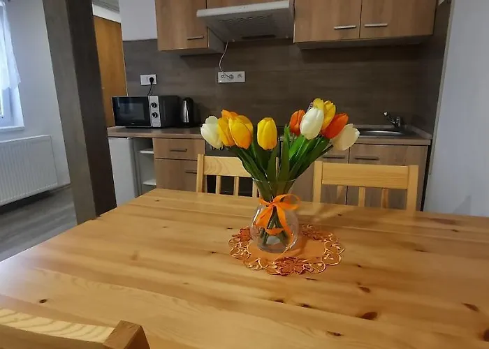 Vejminek Pod Smrkem Apartmán