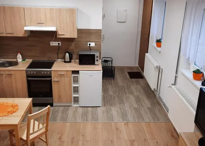 Apartmán Vejminek Pod Smrkem *